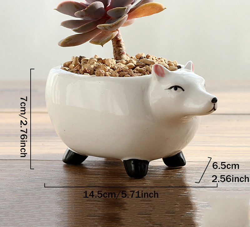 Succulent cartoon animal flower pot