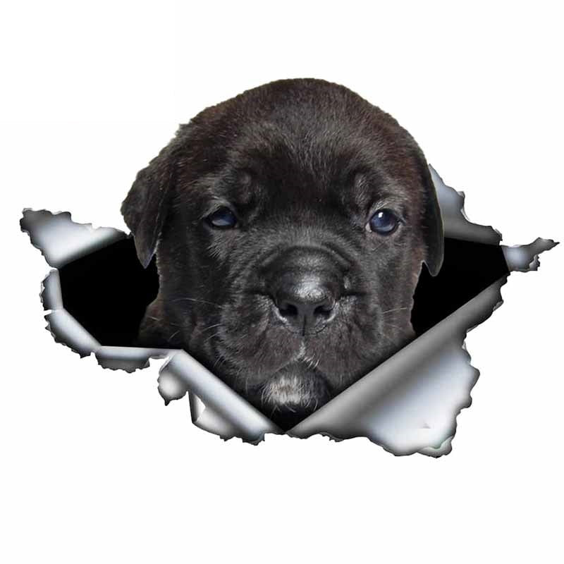 Funny Creative Personality 3D Pet Cartoon Dog Car Sticker