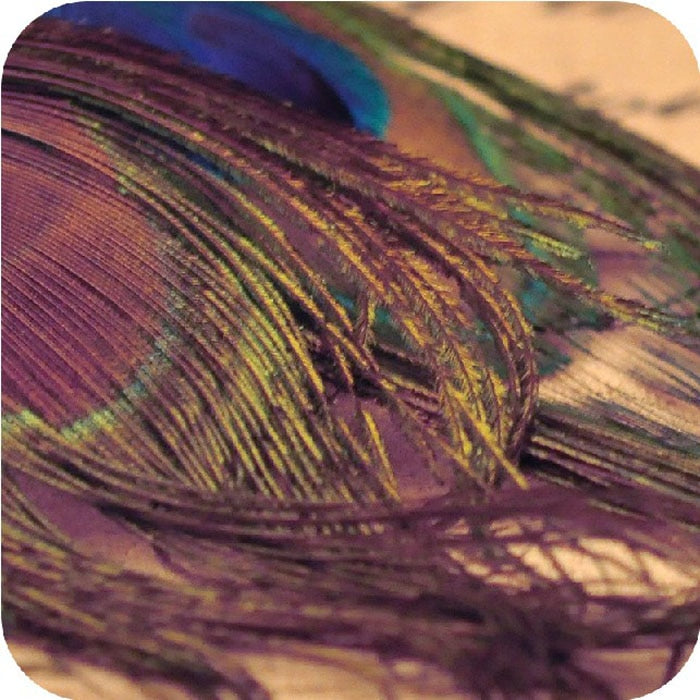 New Fashion Jewelry Earrings For Women Boho Charming Earring Simple Peacock Feather Vintage Luxury Long Dangle Earrings Cut