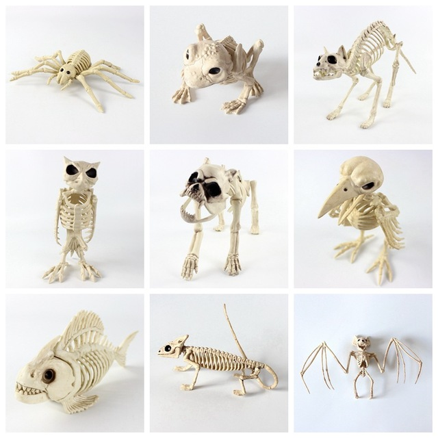 Plastic animal skull skeleton