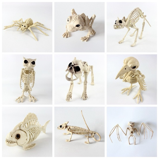Plastic animal skull skeleton