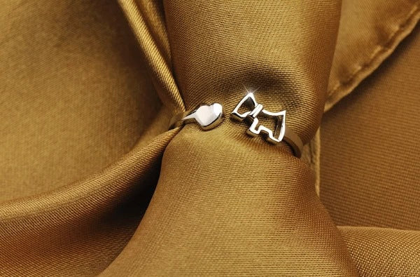 Zircon Opening Adjustable S925 Sterling Silver Ring