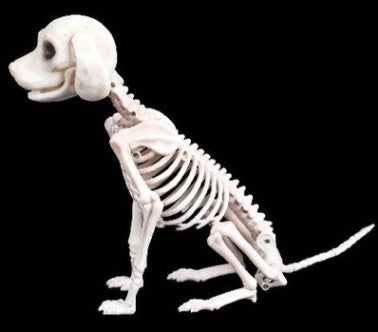 Plastic animal skull skeleton