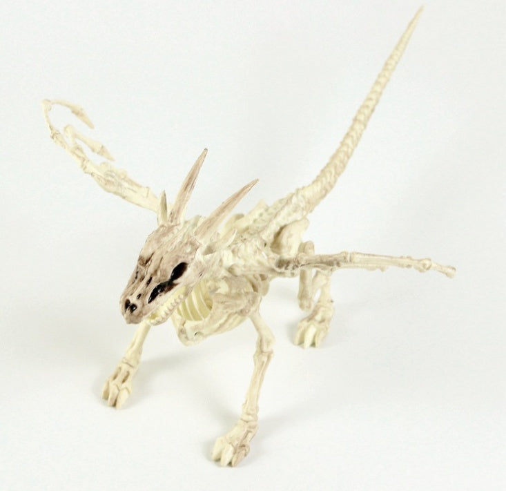 Plastic animal skull skeleton