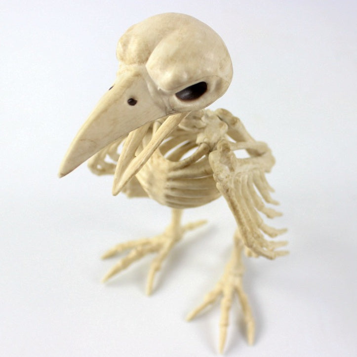 Plastic animal skull skeleton
