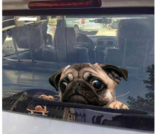 3D pug looking snail car window car sticker