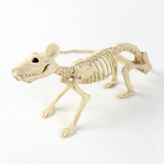 Plastic animal skull skeleton