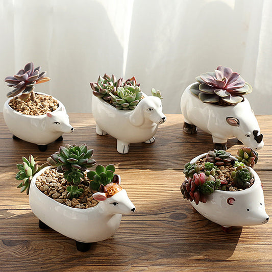 Succulent cartoon animal flower pot