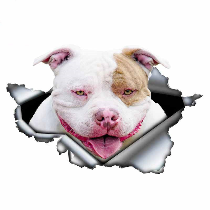 Funny Creative Personality 3D Pet Cartoon Dog Car Sticker