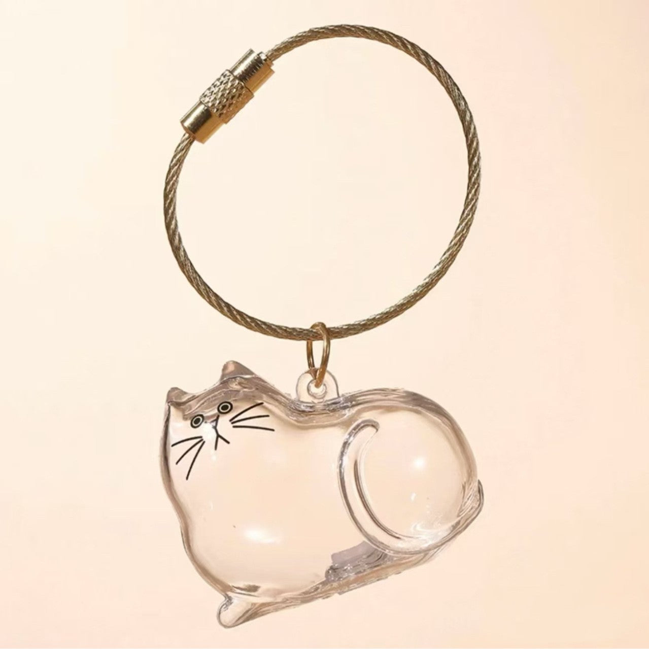 Transparent Cat Hair Storage Box Charm Commemorative Keychain