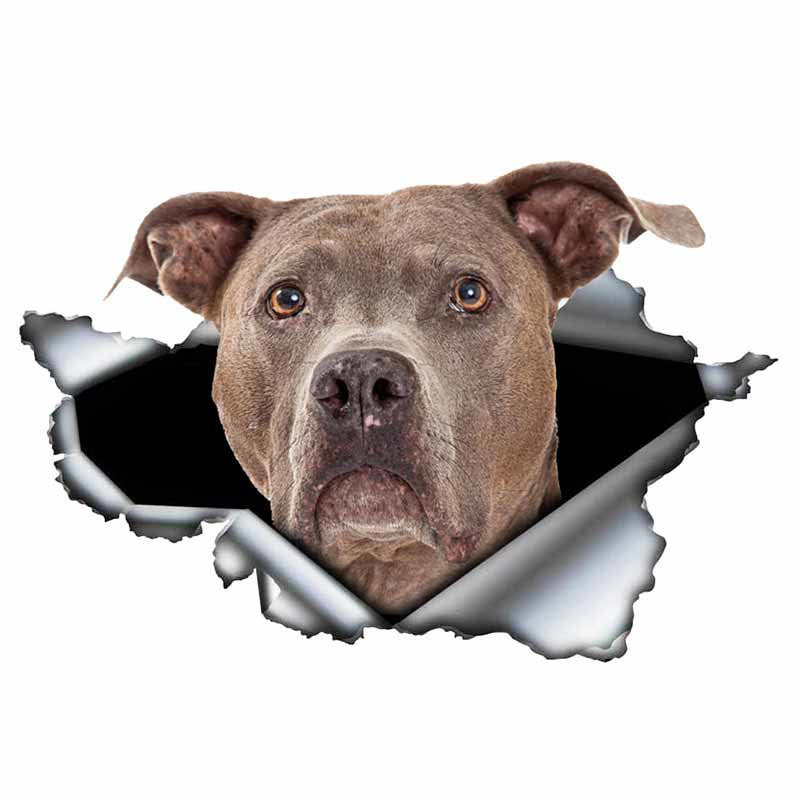 Funny Creative Personality 3D Pet Cartoon Dog Car Sticker