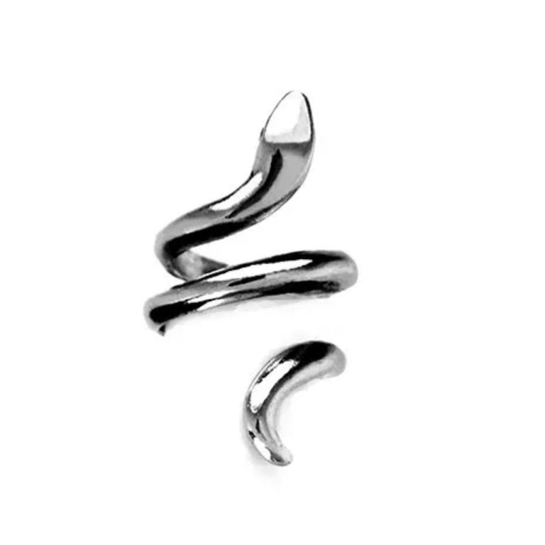 Animal Spirit Snake European And American Retro Punk Exaggerated And Personalized Men And Women Winding Snake Animal Opening Ring