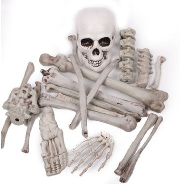 Plastic animal skull skeleton