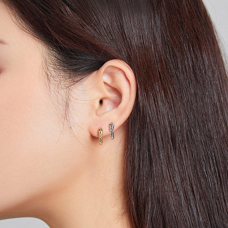 European Wind Animal Zodiac Earrings Silver