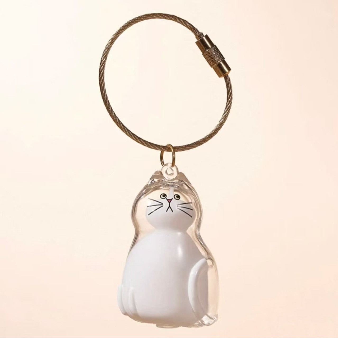 Transparent Cat Hair Storage Box Charm Commemorative Keychain