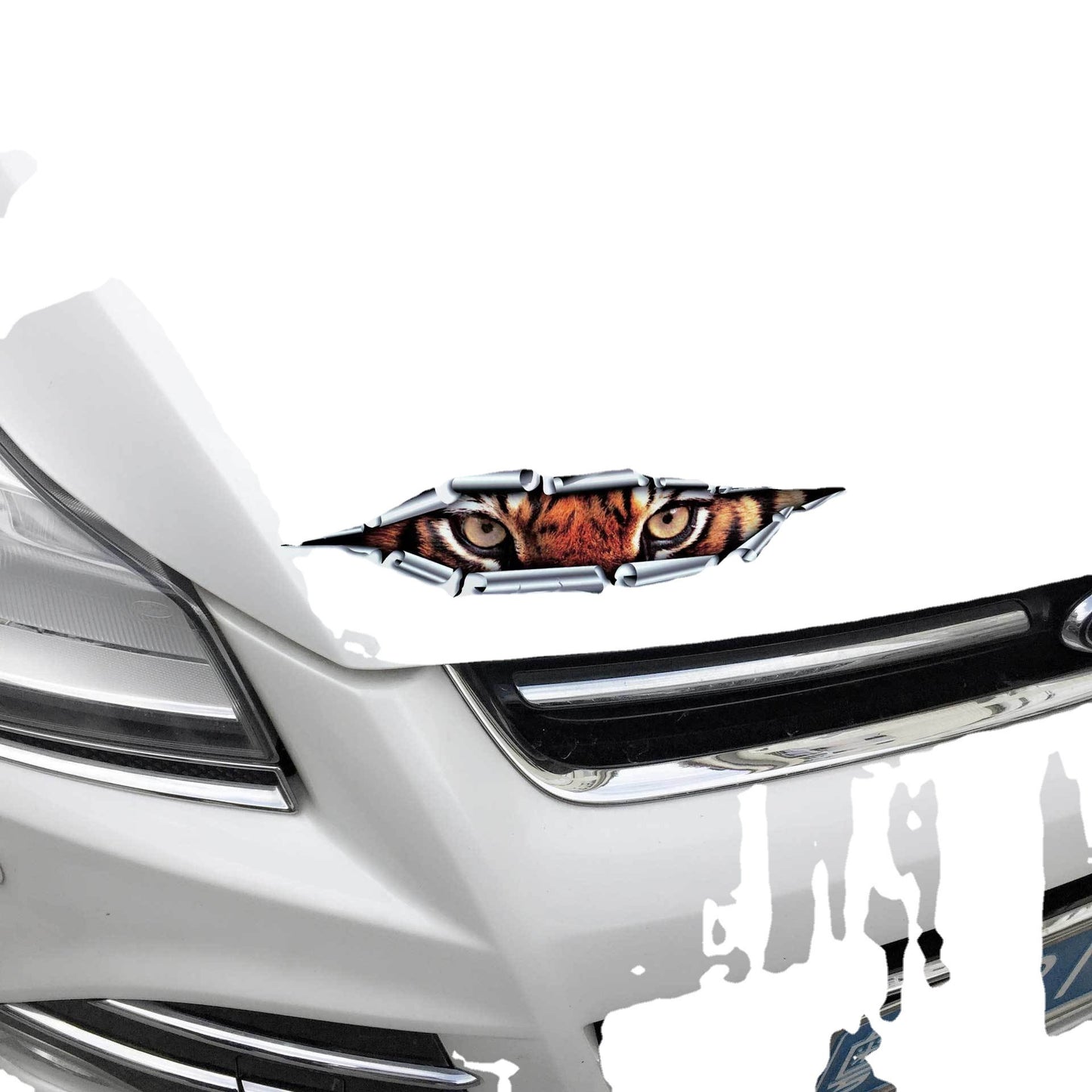 New Tiger Eye Eagle Eye Peeping Bumper Stickers Car Door Decoration 3D Sticker
