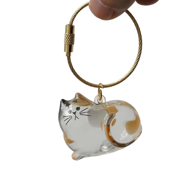 Transparent Cat Hair Storage Box Charm Commemorative Keychain